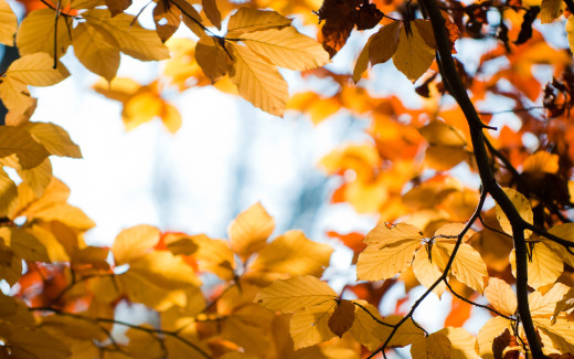 588404 (a): :2560x1600